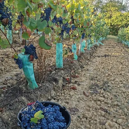 Le Pigeonnier De Bouheben