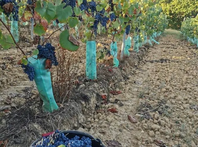 Le Pigeonnier De Bouheben