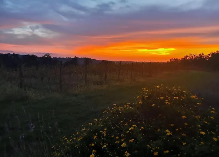 Ferienhaus Le Pigeonnier De Bouheben